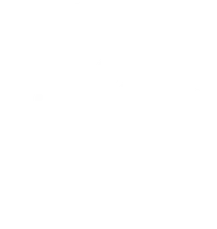 Qualidade Luck — desde 1960